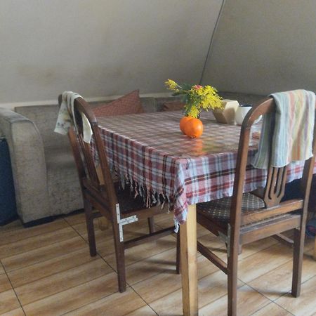 Everyday Cat Hostel Батумі Екстер'єр фото