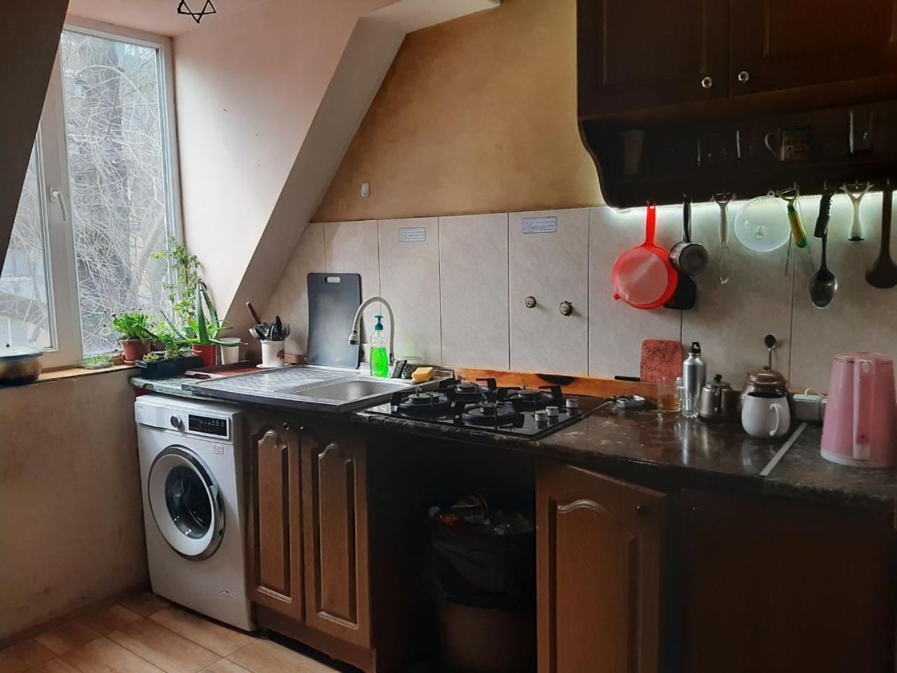 Everyday Cat Hostel Батумі Екстер'єр фото