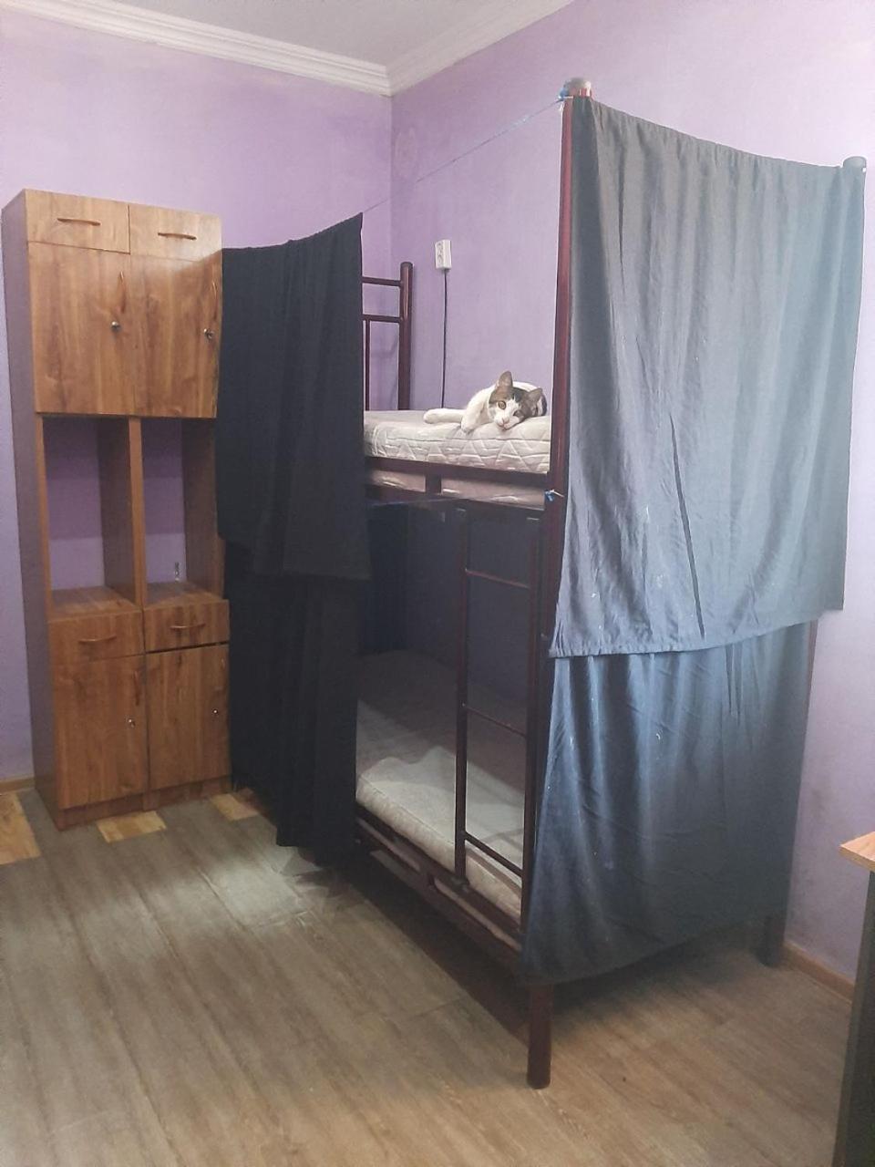 Everyday Cat Hostel Батумі Екстер'єр фото