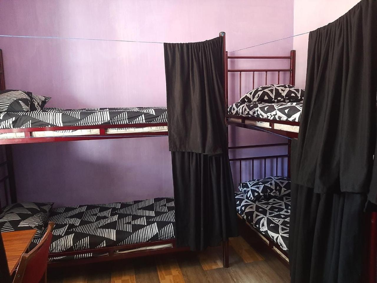 Everyday Cat Hostel Батумі Екстер'єр фото