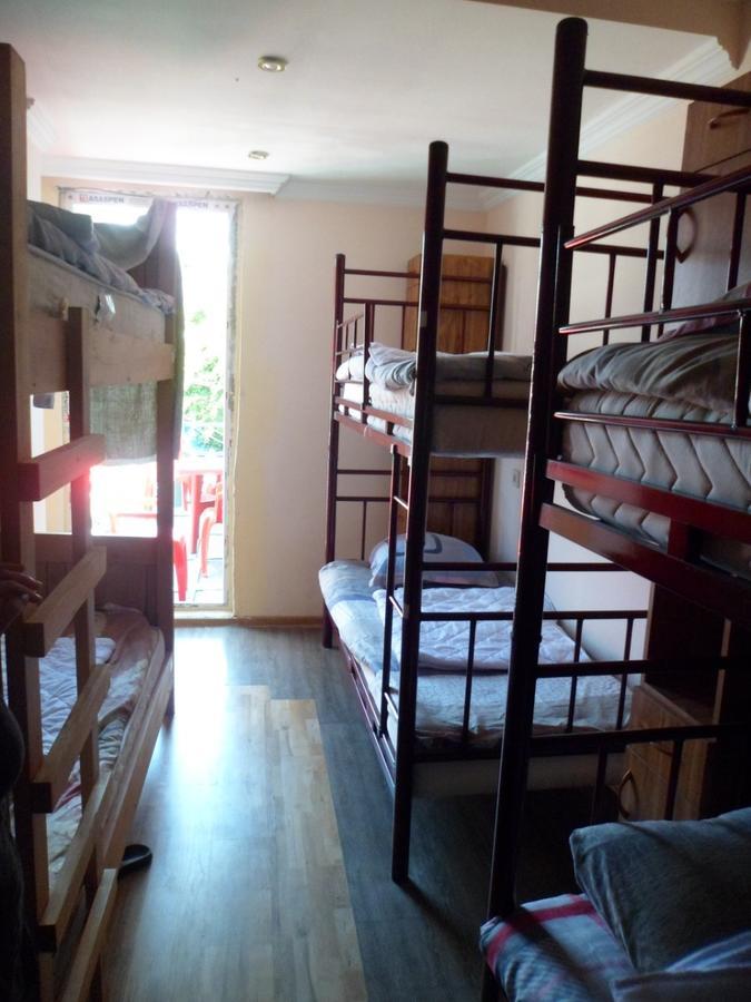 Everyday Cat Hostel Батумі Екстер'єр фото