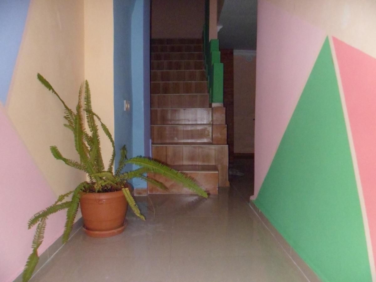 Everyday Cat Hostel Батумі Екстер'єр фото